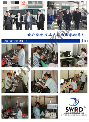 進口外球面軸承座UCP215-47